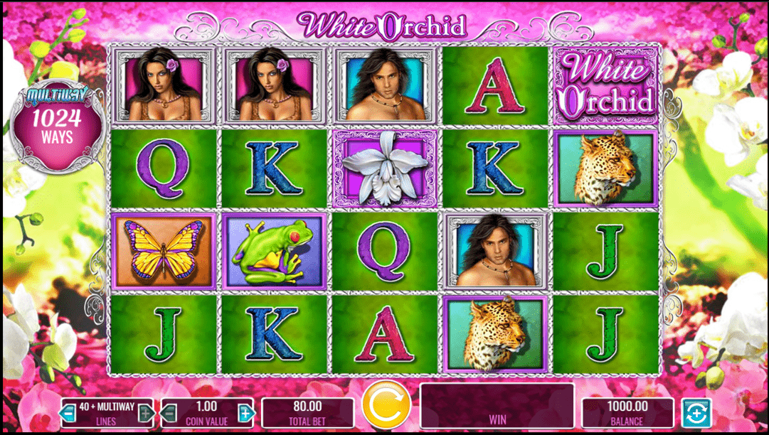 White Orchid -Best Video slots Online